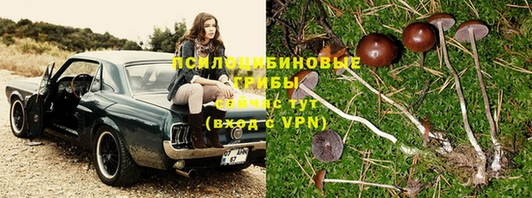 прущие крисы Абдулино