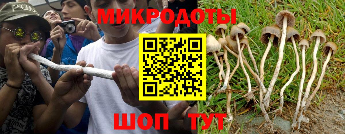 Галлюциногенные грибы мицелий Комсомольск-на-Амуре